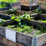 Urban Farming Solutions