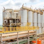 Sugar Production Cane